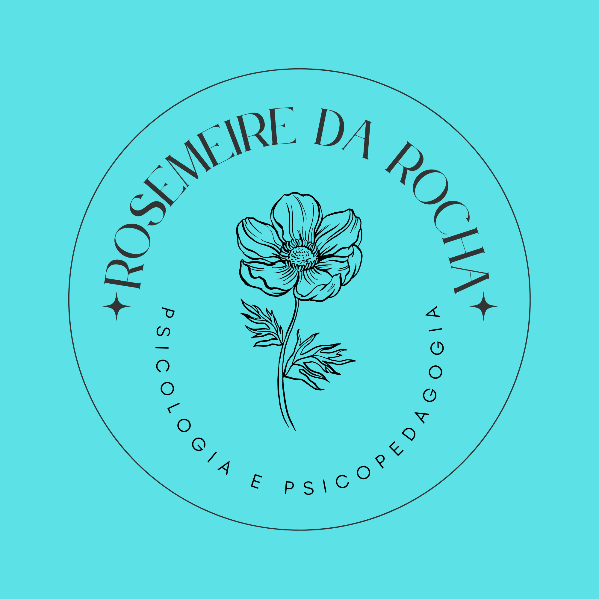 ROSEMEIRE DA ROCHA.png